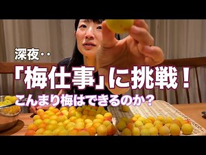 Making Umeboshi (pickled plums) KonMari style ✨