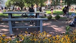 7.7K views · 291 reactions | Coming to campus this weekend? You may notice some changes! Executive Director of Campus Services Saunders Ramsey shares about the latest construction projects and beautification efforts.  #TakingCareOfWhatMatters | Mississippi State University | Facebook