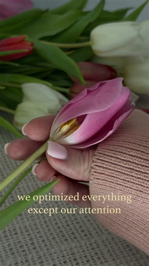 Digital Overload & Lost Attention