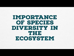 IMPORTANCE OF SPECIES DIVERSITY IN THE ECOSYSTEM