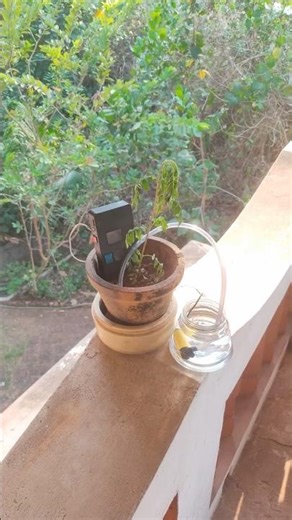 Never kill a houseplant again. 🪴🤖 Meet The Thirsty Pi!