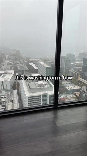 Seattle Rainy Day: Cozy Vibes in Washington State Right Now