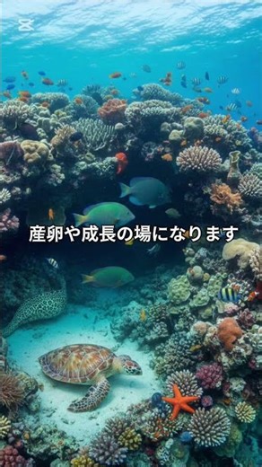 サンゴ礁と海洋生態系の知られざる関係#豆知識 #雑学 #教育動画 #地球温暖化 #白化現象