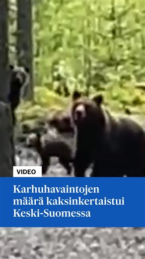 6.1K views · 474 reactions | Karhukannan kasvu huolettaa...