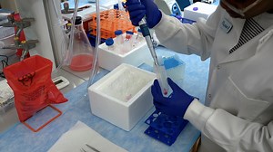 Author Spotlight: Advancements in Nanoparticle Technology for Drug Delivery and Immunotherapy