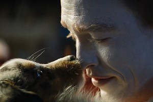 279K views · 2.5K reactions | "Ovunque ci sia un infelice, Dio invia un cane" Lamartine Dal genio di #LucBesson, l'incredibile storia di un bambino, ferito dalla vita, che troverà la salvezza grazie all'amore dei suoi cani: #DogMan, in concorso a #Venezia80 e dal 5 ottobre #SoloAlCinema. Con uno straordinario Caleb Landry Jones (premiato come Miglior Attore al Festival de Cannes nel 2021 per Nitram) nel ruolo del protagonista Douglas. | Lucky Red | Facebook