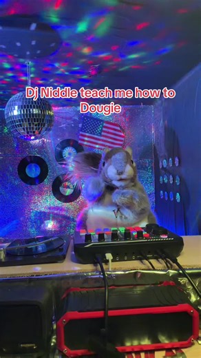 Learn How to Dougie with Dj Niddle