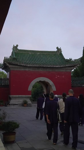 5.4K views · 172 reactions | By TCM Theory, the Lungs meridian are...