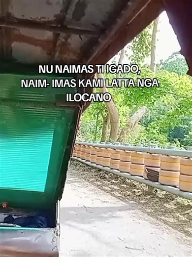 Nu Naimas Ti Igado: Ilocano Flavor Exploration