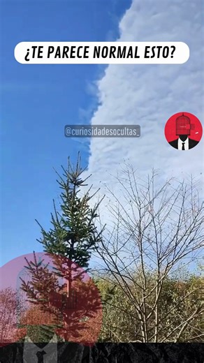 🌎 HAARP: el proyecto que “estudia” la atmósfera... o algo más Oficialmente, el HAARP (High-frequency Active Auroral Research Program) es un proyecto científico en Alaska destinado a investigar la ionosfera. Sin embargo, para muchos investigadores independientes, su verdadero propósito estaría lejos de ser solo “científico”. En este complejo, cientos de antenas emiten potentes ondas hacia la atmósfera superior. ¿El resultado? Una capacidad sin precedentes para alterar el comportamiento de la ion