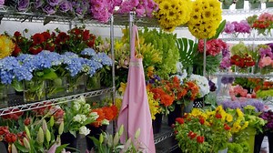 Progressive Salutes Progress With New Apron-Themed Campaign