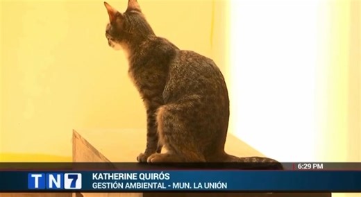 17K views · 273 reactions | APP Bienestar Animal En conjunto con la...