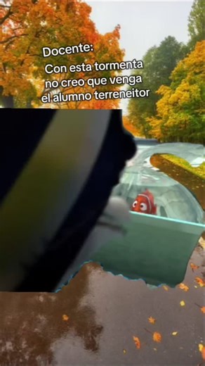 Agdari juegos y recursos didácticos on Instagram: "¡Buenas, Buenas! Un poquito de humor para este día de mucha lluvia ☔️ Cuéntenme, Cuantos peques fueron al jardín?? Las leo ❤️ #docentes #docentesentiktok #maestras #fyp #viraltiktok #viralree #reels #lluvia #tormenta #humordocente #nivelinicial #primaria #maestras #maestrasdetiktok #capcut #memecut #nemo #darla #terreneitor"