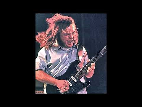 Ed King Lynyrd Skynyrd last interview(unedited)