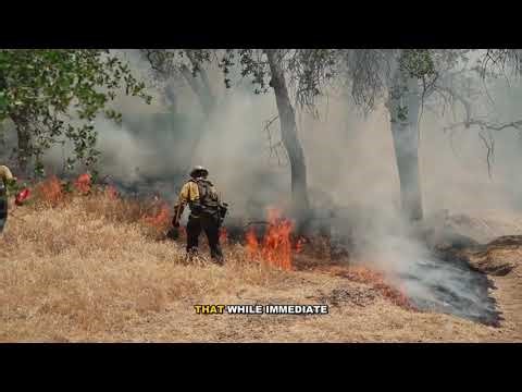 Everything You Need to Know About AI Alignment and Existential Risk