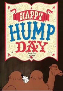 Happy Snoopy Hump Day~ | Gifs, Vids & Music Etc