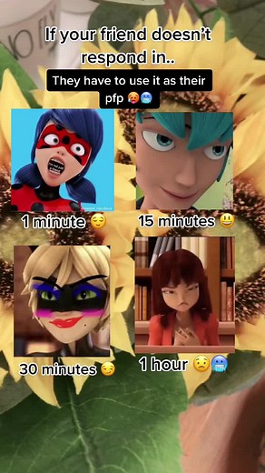 Miraculous Ladybug and Cat Noir TikTok Challenge