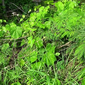 15K views · 183 reactions | Deep Cleaning the House of a Couple short video #clean #cleaning #cleaninghouse #cleaningteam #housekeepingteam #deepcleaning #satisfyingcleaning #cleaningasmr #cleanwithme #satisfying #cleaningmotivation #cleaninghacks #cleaningtips #cleaningszn #cleanfreshhype #cleanclearconfident #fyp #freecleaning #motivation | Vivid Moments | Facebook