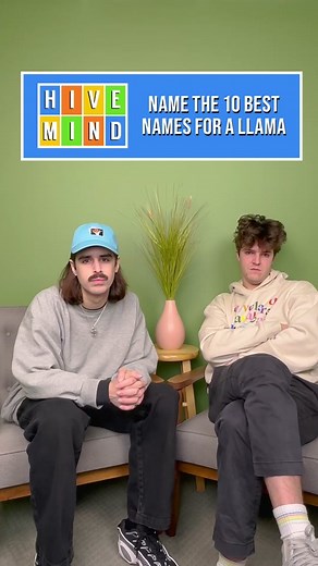 Top 10 Llama Names According to Ranker | Guess the Best Baby Llama Name!