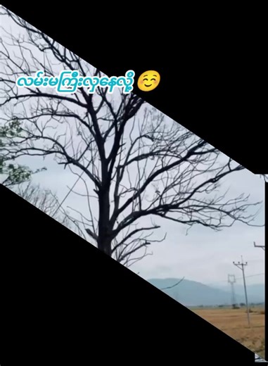 #ပျဉ်းမနား #လမ်းမကြီးရဲ့ဘေး #လှသောလေး💖💖 #ရောက်ချင်တဲ့နေရာရောက်👌 #tiktok #ssma🐷 #tiktokuni #tiktokmyanmar🇲🇲