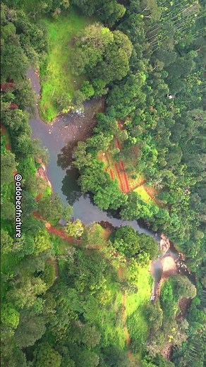 Unseen Beauty of Wayanad | Kerala’s Most Peaceful Hill Station #wayanad #ooty