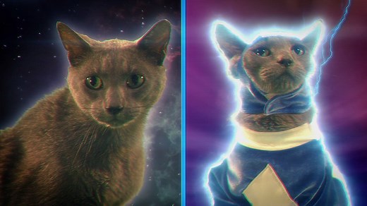Looks like Akita Repulsa's got a special fur-prise for the Meower Rangers in episode 4! Celebrate National Cat Day on 10/29 with the universe's most paw-erful heroes! Watch all six episodes here: http://bit.ly/2yUKuyD | Power Rangers