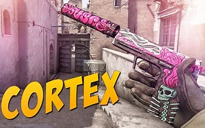 【CSGO新皮肤】USP-S | Cortex（残局箱）