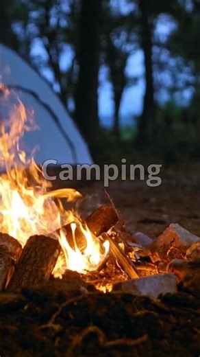 Need some Adventure?