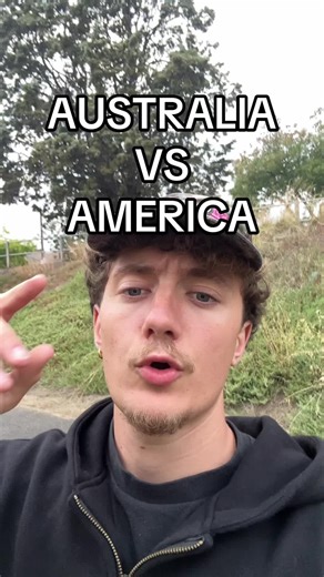 American vs Australian Seagulls: A Bird Showdown