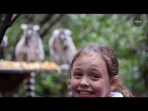 Film de voyage famille Afrique du Sud (version longue)