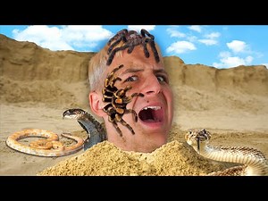 Ha Kimászol, Vesztesz!🐍🕷