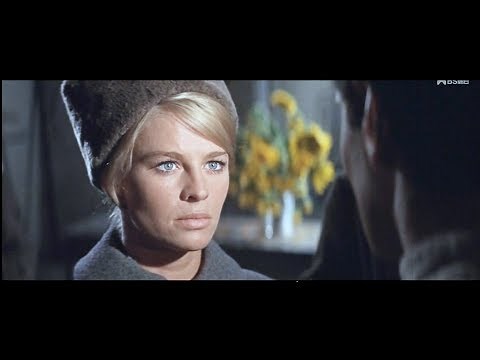 Doctor Zhivago / ドクトル・ジバゴ - ララのテーマ 1965