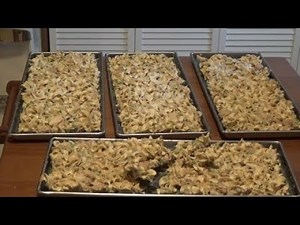 Freeze Drying With John In Bibs 3 Gallons of Tuna Casserole Ep13