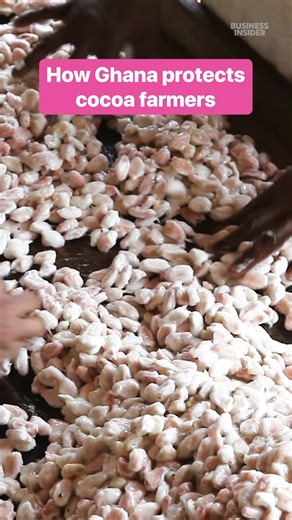 113K views · 579 reactions | #Cocoa beans reached a record price of $12,000 per metric ton. #chocolate | Business Insider | Facebook