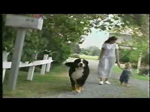 Pampers Premium 1998 Commercial