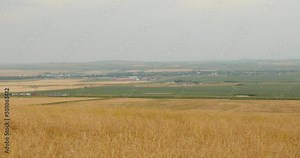 Pincher Creek sits amongst the Foothills and Farmland in Southern Alberta