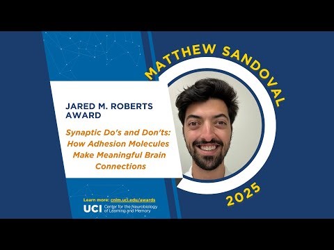 Matthew Sandoval - Synaptic Do's and Don'ts