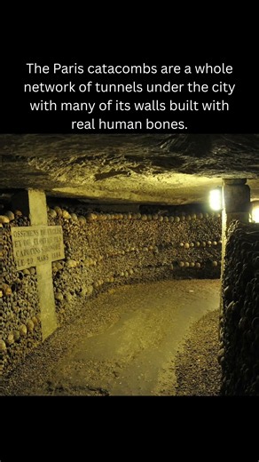 The Paris Catacombs: walls of bones #history