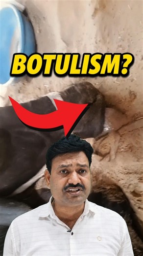 Buffalo Botulinum