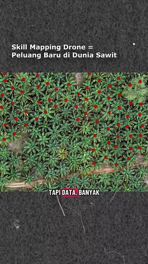 Belajar ArcGIS Map dari Nol untuk Pemetaan Mandiri