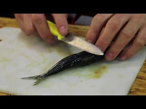 Fishing for Karenteen | ASFN Baits & Traces