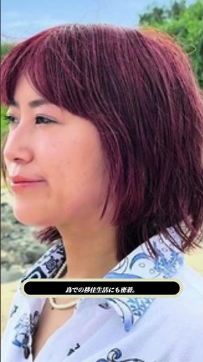 🏝️IMALU奄美移住🏡事実婚パートナー告白💬
