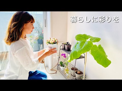 ミニマリストの暮らしを整える8つのヒント