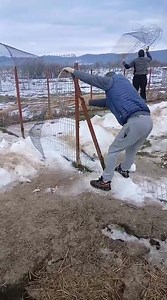 Munca si iar munca. Multumim tare mult Fundatiei Friends4Straydogs care ne-au sarit in ajutor!🙏🍀🐾 Work and work again. Thank you very much Foundation Friends4Straydogs for the big hand of help!💚🐕🤗 | Herz für Pfoten - România