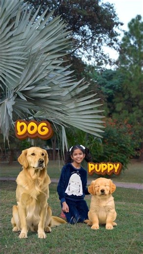 Adi’s Expert Guide to Animal Baby Names 🦒 | Kids English Words | Adi Connection #shorts