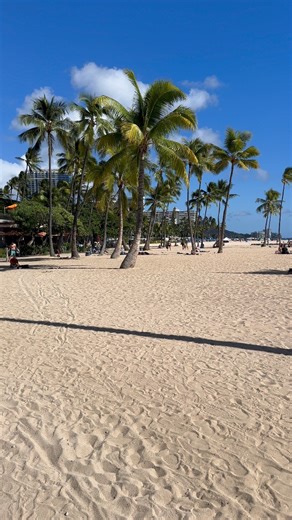 October in Hawaii — feels like summer never left. ☀️🌴 #hawaii #sunshine #tropicalvibes #beautifuldestinations #islandlife | Spirit of Hawaii