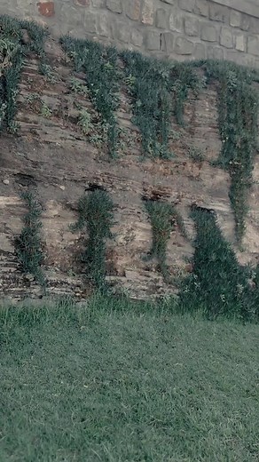 selamachn erasachin new metenek yalebin#habeshatiktokforyou💚💛❤🇪🇹🇪🇹🇪🇹 #foryou #fyppppppppppppppppppppppp