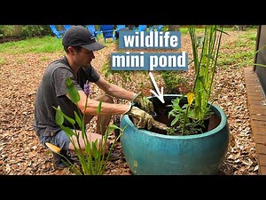 How to Create Your Own Mini Pond for Thriving Backyard Wildlife