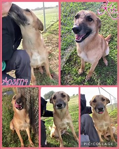 37 reactions · 17 shares | Now this is a sweet face that anyone could...