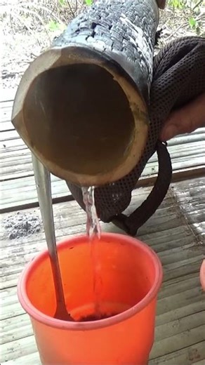 Kami nan jauh di kampung...